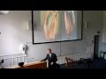 Simon Chadwick: The Gaelic harp or clàrsach. Lecture at St Andrews University
