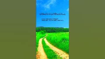 إِنَّ السَّاعَةَ آتِيَةٌ أَكَادُ أُخْفِيهَا لِتُجْزَىٰ كُلُّ نَفْسٍ بِمَا تَسْعَىٰ|القارئ أنس محمد