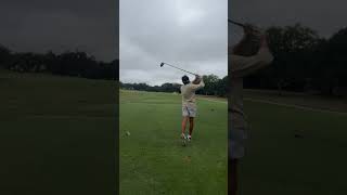 IMG 4587 2