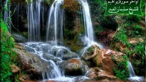 أواخر سورة إبراهيم للشيخ سليمان العيد.avi