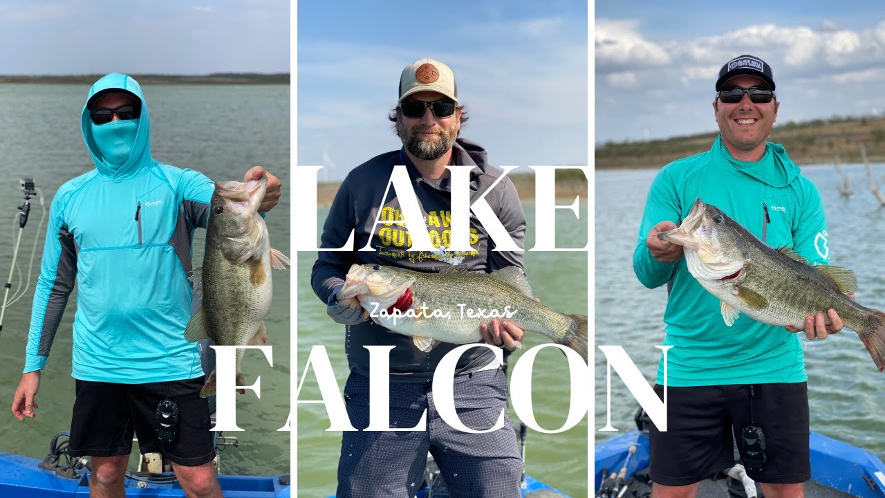 We Catch GIANT Bass In Texas! (Flipping Shallow Wood For 6, 7, and 8 Pound Bass on Falcon)