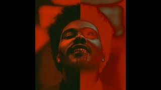 The Weeknd - Nothing Compares (Clean) Wealth