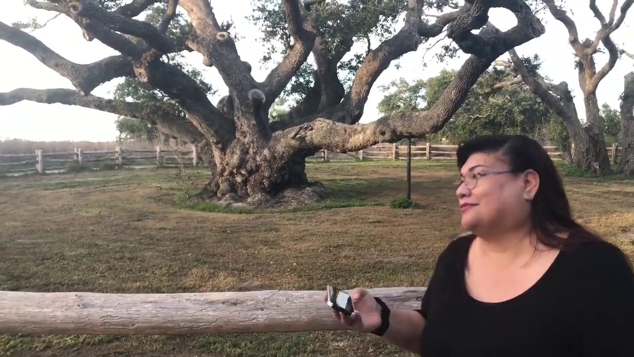Goose Island State Park Paranormal Mysteries p2 (The Big Tree)