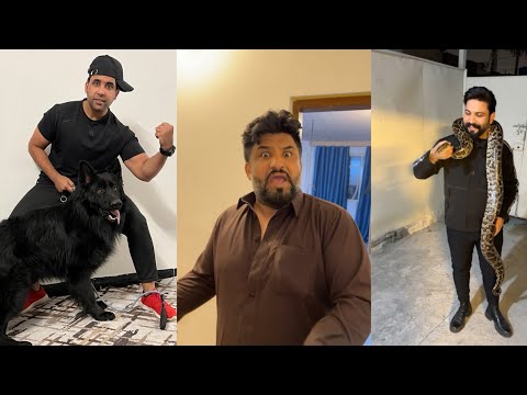 سجاد رشك خذه ثار احمد البجاري من انور رشك ودخلنه عليهم دب وكلب وحيه خال سجاد نغمه عليه