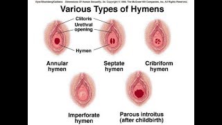 5 Things That Happen to Your Vagina After You Give Birth