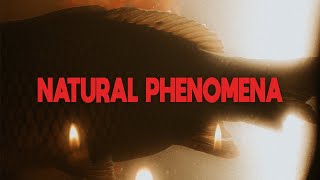 hug or handshake - Natural Phenomena (Official Video | Episode 1)