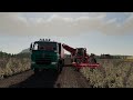 Уборка картофеля в farming simulator 19 на карте балдейкино