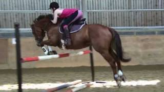 I love my horse. Jumping Lesson 06-05-11