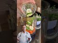 Uma mistura simples que faz um verdadeiro detox no seu corpo!