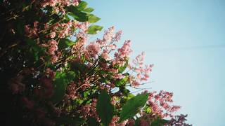screenshot of the youtube video