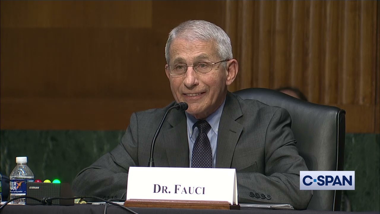 Dr. Fauci and Rand Paul exchange accusations on Capitol Hill: 5 ...