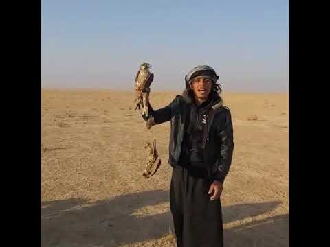القانوص نواف علي ضحوي المهيدي الله يبارك له