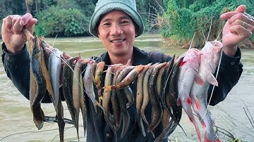 câu cá chạch khủng mùa lũ. ngẫuhứng vlog,@Ngauhungvlog123 #fishing #câucáchạch #cauca
