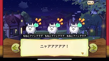 メルスト エヴァン メルスト エヴァン