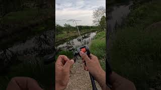 Test reel seahunter turbo pro dc ‼️‼️‼️