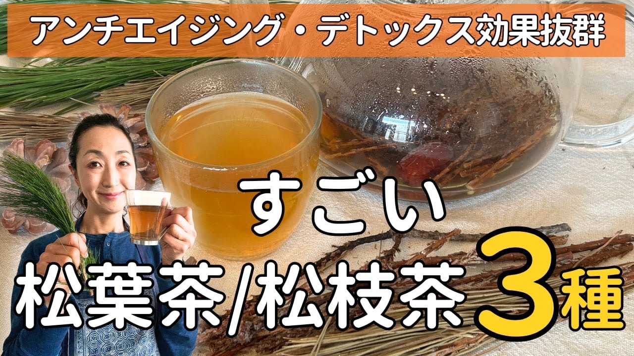 【松葉茶の作り方完全版】松葉と松枝で3種類のお茶を作ってみた！鍋が松やにでベタベタするを〇〇で解決、松葉茶 は デトックス効果 血液浄化 老化防止