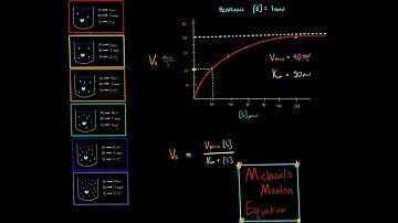 Michaelis Menten Equation Enzyme Kinetics (PART 1) Introduction