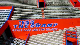 Built in 1930 the middle of a swamp, university florida has mastered
art physically and psychologically imposing one most hostile env...
