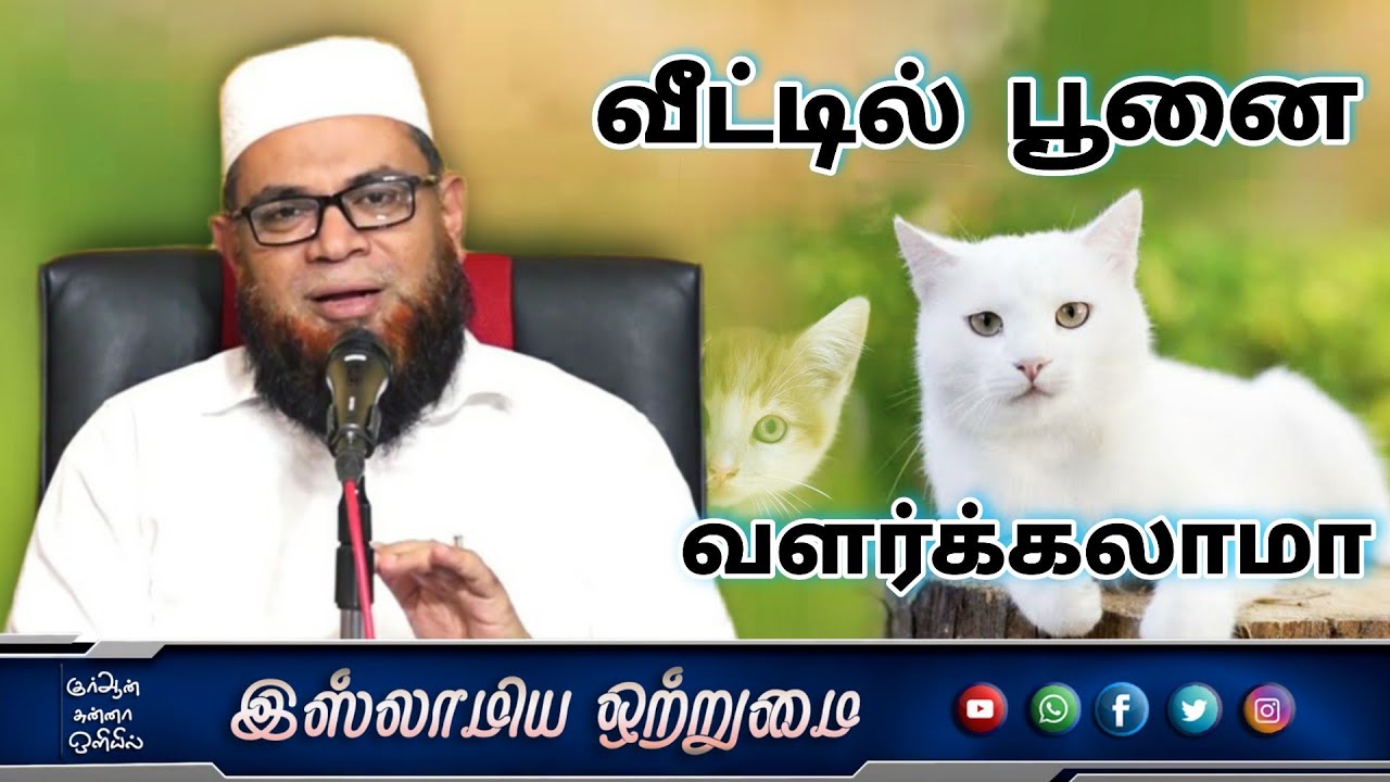 வீட்டில் பூனை வளர்க்கலாமா_ᴴᴰ┇அஷ்ஷைக் முபாரக் மஸ்வூத் மதனி┇Islamiya Otrumai┇