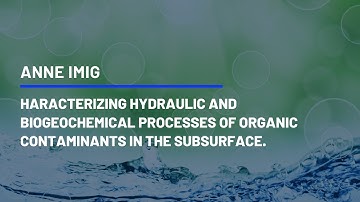 Characterizing hydraulic and biogeochemical processes of organiccontaminants in the subsurface