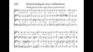 Bach Hymnbook 237 Seelenbräutigam, Jesu, Gotteslamm