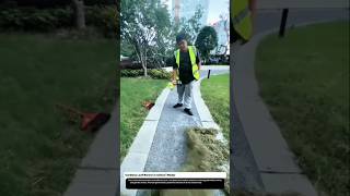 Cordless Leaf Blower in Action | Modern Lawn and Path Cleaning Technology