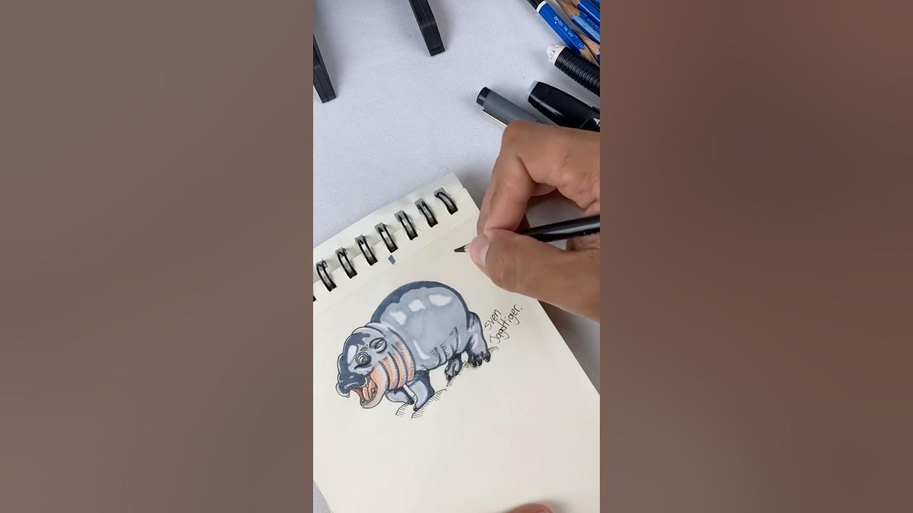 Hipopótamo Moo Deng #moodeng #moodenghippo #hipopotamo #drawings #draw ...