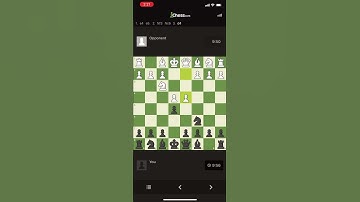 Chess.com app glitch - auto resigns