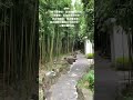 「你不要害怕，因為我與你同在； 不要驚惶，因為我是你的神。 我必堅固你，我必幫助你； 我必用我公義的右手扶持你。」以賽亞書41:10 #今日聖經金句