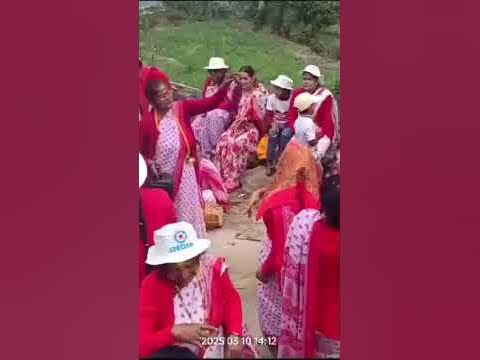 tara holi pics