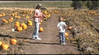 pumpkin patch.avi