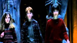 Harry Potter Only I Can Live Forever