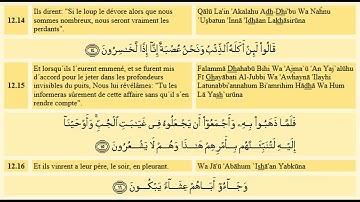 Sourate Youssouf | Alafasy (12) سورة يوسف | مشاري العفاسي