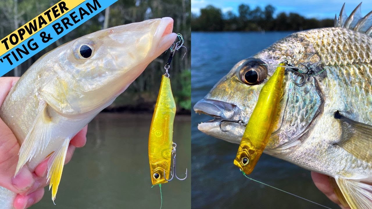 DEADLY Topwater Tactics For BREAM & WHITING! (Plus A Killer New