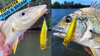 Topwater whiting - Catching whiting on lures - Addict Tackle