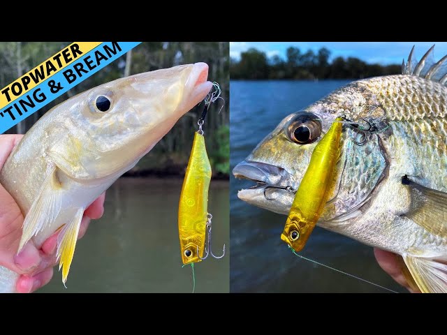 DEADLY Topwater Tactics For BREAM & WHITING! (Plus A Killer New Surface Lure  Revealed) 