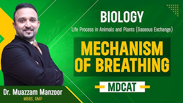 62. Biology | Life Process in Animals and Plants (Gaseous Exchange) | Mechanism of Breathing - 13.2