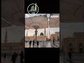 Madinah Ka Sabse Khoobsurat Manzar #Madina #love #shortvideo #viral #trending