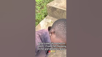 please consider donating to our PayPal link in bio for support please #savesoul