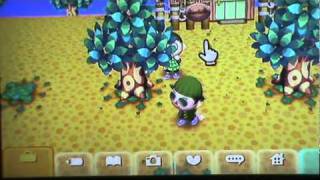 Money Tree in Animal Crossing City Folk (how to get 60k bells profit)