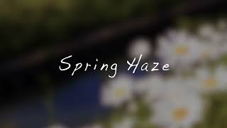 Spring haze