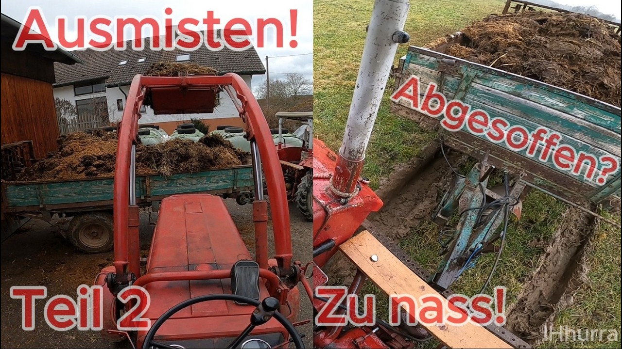 Stall Ausmisten 🐄 + Mist streuen 💩 \ Stecken geblieben? \ IHC 353 🚜 \ Teil 2