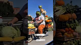 Craziest Vehicles Ever Seen on the Road 😂🏍️🚗 #shorts