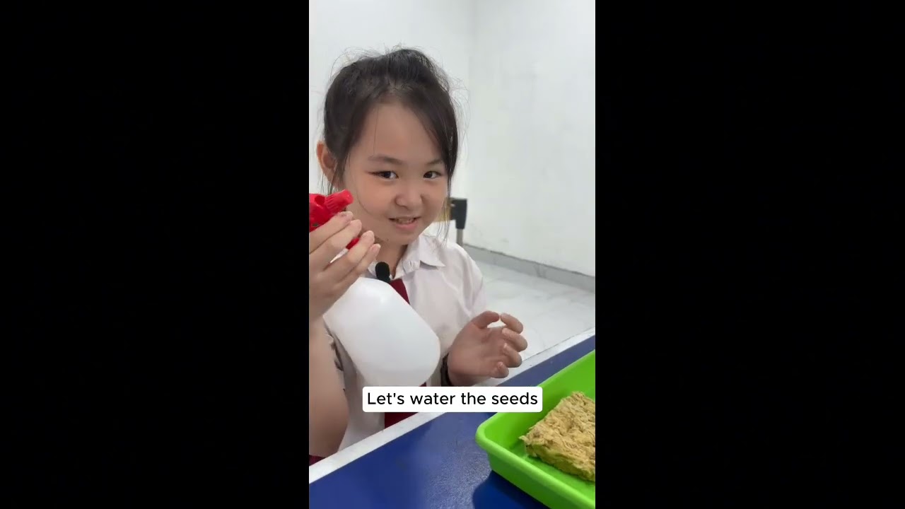 Plants Grow in Water?! 💧🌱 | Mischool STEM Club