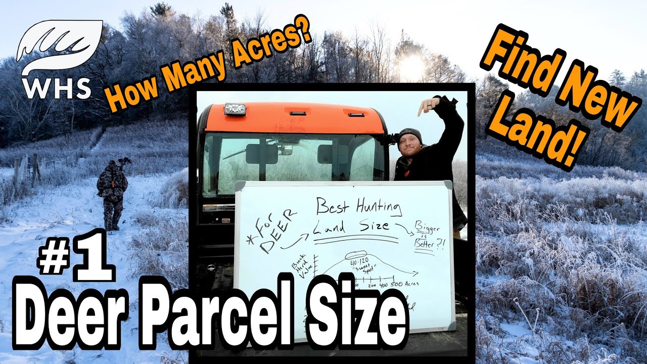 Best Deer Hunting Land SIze YouTube