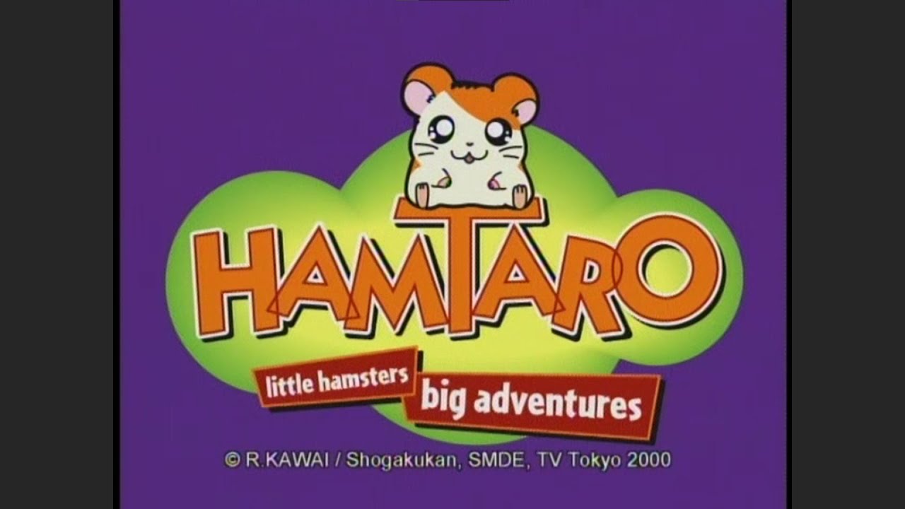 とっとこハム太郎 (Hamtaro) - Opening (English, HD) - YouTube