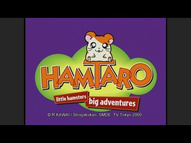 とっとこハム太郎 (Hamtaro) - Opening (English, HD) - YouTube