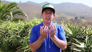 XPT Performance Breathing |  Breathing Pattern Disorders