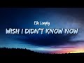 Ella Langley Wish I Didn 39 T Know Now Lyrics mp3