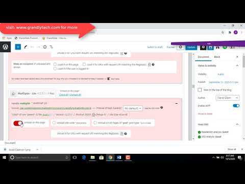How to Use the Asset CleanUp Plugin to Achieve Page speed for your WordPress Site